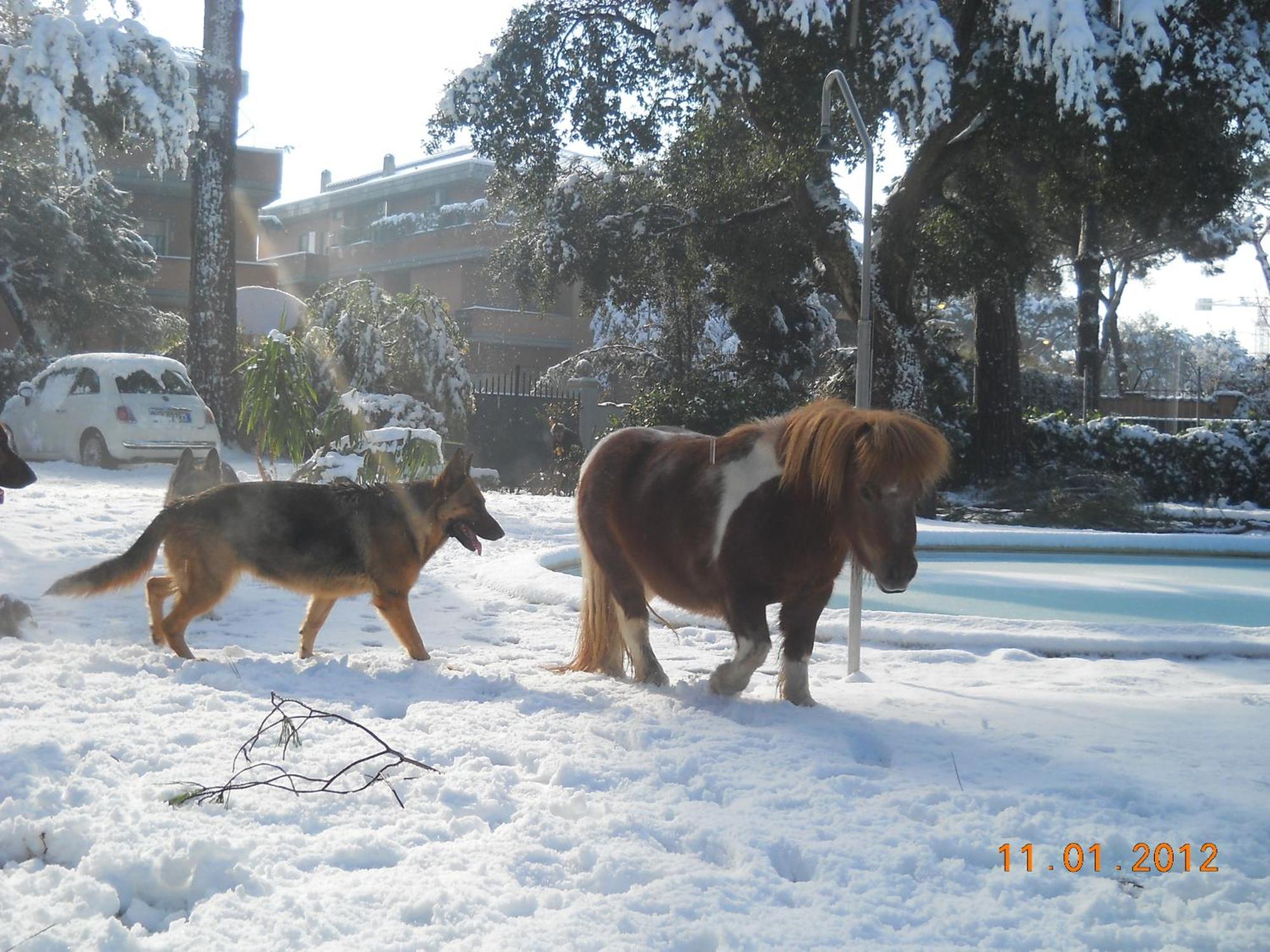 Relais La Canfora Rome Exterior photo